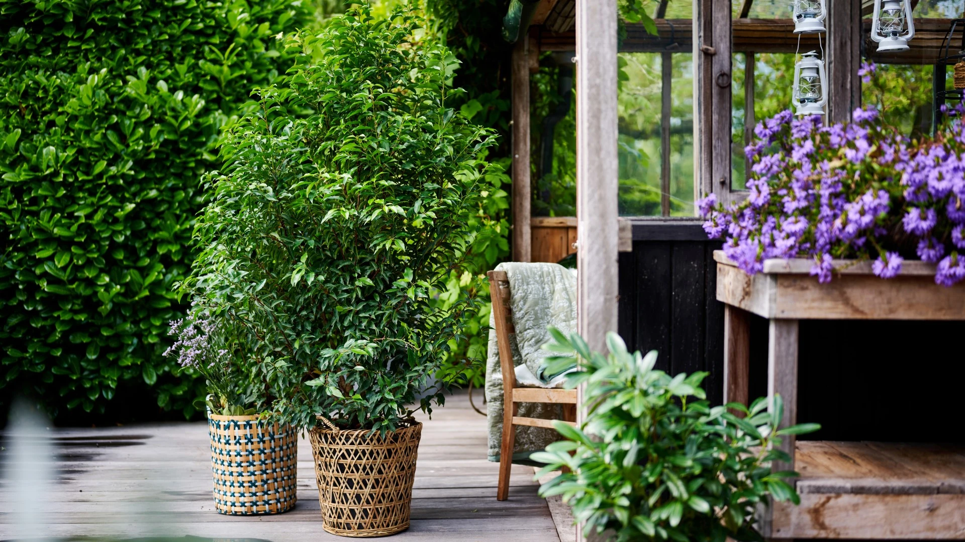 1 mei geopend 1 Mei geopend