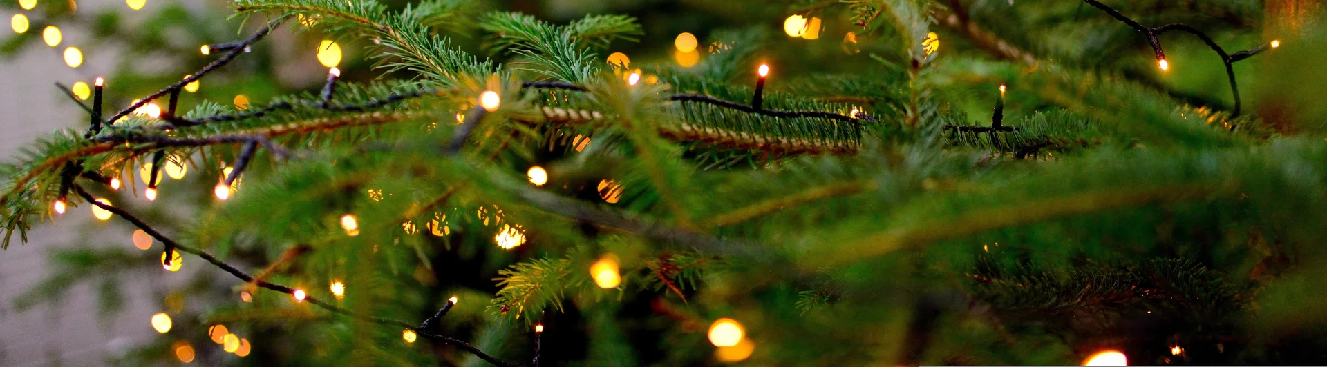 Kunstkerstbomen Onze kunstkerstbomen staan online!