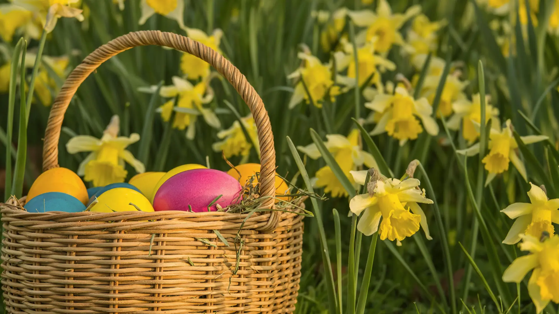 Vrolijk Pasen Vrolijk Pasen!