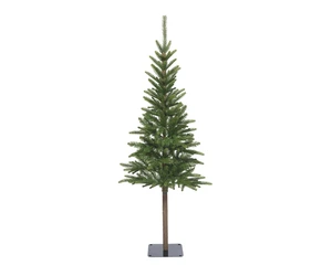 Alpbach fir