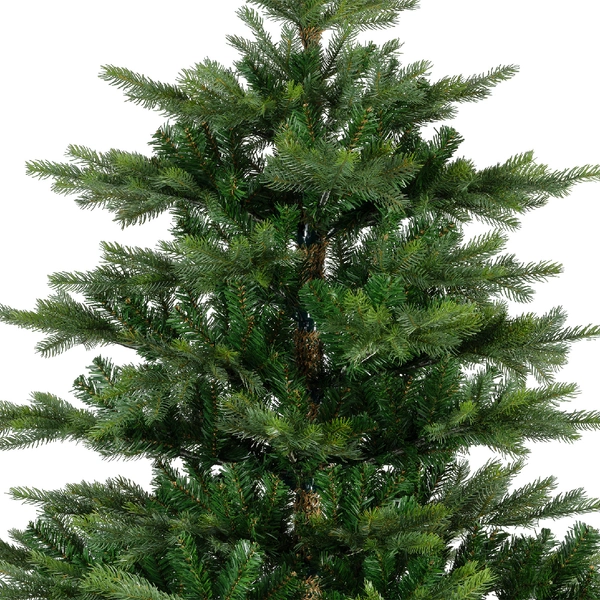 Grandis fir 150cm - afbeelding 2