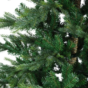 Grandis fir 150cm - afbeelding 3