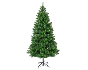 Kenmore fir